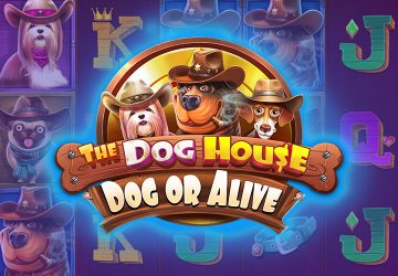 NetEnt - игровой автомат онлайн от Various с RTP 95.08%